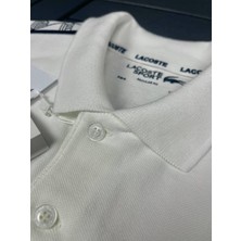Lacoste Erkek Regular Fit Polo T-Shirt