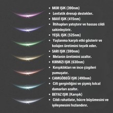 Alpotekno 7 Farklı Işık Modlu Titreşimli Boyun ve Yüz Ems Güzellik Cihazı