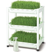 Tribest - Sproutman's Topraksız Buğday Çimi Yetiştiricisi - SM-350