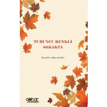 Turuncu Renkli Sokakta