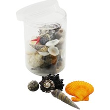 Plastik Kavanoz  Midye Deniz Kabuk Vazo Taşı (4767) - 1OL9844-9108
