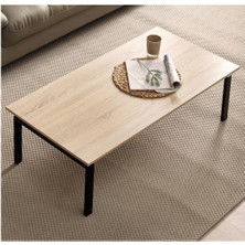Erlik Orta Sehpa 120X60X35CM
