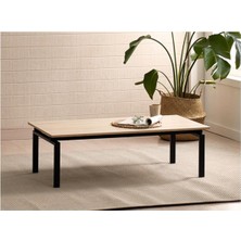 Erlik Orta Sehpa 120X60X35CM