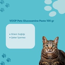 Voop Pet Glucosamine Paste (Kediler Için Birleşim ve Kas Desteği) 100 gr