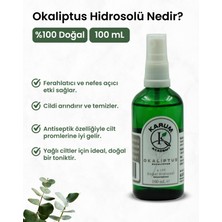 Okaliptus Hidrosolü Ferahlatıcı ve Arındırıcı Doğal Bitki Suyu 100ML