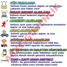 2 Kameralı Insan Araç Yüz Algılayan 6 Süper KING Ledli Güvenlik Kamera Seti