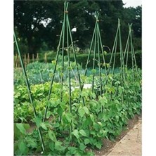 Gardener 53713 Bitki Destek Çubuğu 10lu 8 mm X 120 cm