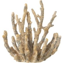 Kahverengi Mercan Obje