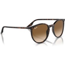 Ray-Ban RB2204 902/51 51-20-145 Unisex Güneş Gözlüğü