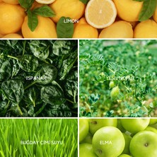 Ancient Greens Green Mix I Bitkisel Yeşil Karışım I Freeze Dried, Glutensiz, Katki ve Koruyucusuz, Vegan I 10 x 6g