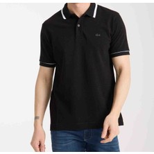 Lacoste   Polo Siyah  Grafik  Regular Fit