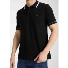 Lacoste   Polo Siyah  Grafik  Regular Fit