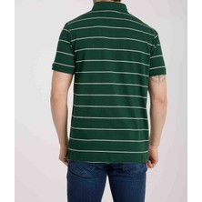 Lacoste  Polo  Nefti Çizgili Regular Fit