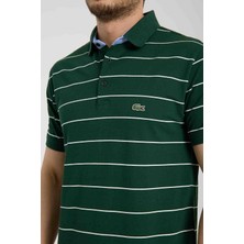 Lacoste  Polo  Nefti Çizgili Regular Fit