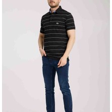 Lacoste  Polo  Siyah  Çizgili Regular Fit