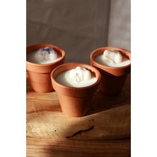 Zühre Therapy 3’lü Soya Wax Mum Seti – Toprak Saksıda Doğal Aromaterapi Mumları (30G)