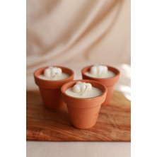 Zühre Therapy 3’lü Soya Wax Mum Seti – Toprak Saksıda Doğal Aromaterapi Mumları (30G)