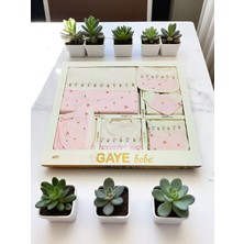 Milays Gaye Bebe Kız 0-3 Ay Çiçekli 10LU Set