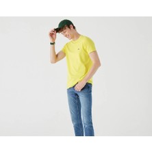 Lacoste Erkek Bisiklet Yaka T-Shirt
