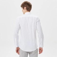 Lacoste Erkek Slim Fit Oxford Gömlek