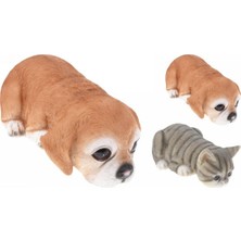 Boyner Evde Çok Renkli Biblo Kedi ve Köpek Figurü 24CM 2ASS