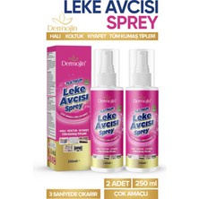 2  Adet Platinum Çok Amaçlı Leke Çıkarıcı 250 ml