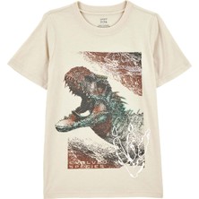 Erkek Çocuk Çocuk Tshirt