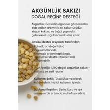 Akgünlük Sakızı 70 gr | Günlük Bitkisi | Ak Günlük | Doğal Ağaç Reçinesi