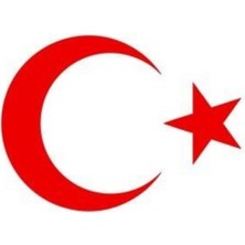 Ay Yıldız Sticker Kırmızı 20 cm