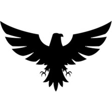 Kartal Tasarım Oto Sticker Siyah 21*29 cm
