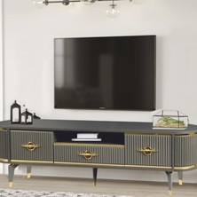 Neva Mobilya Duru Tv  Sehpası Antrasit Gold 2 Kapaklı 1 Çekmeceli Oval Formlu Sehpa 180x40x53 Cm