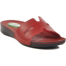 Kırmızı Jel Taban Kadın Terlik Bento 6813 Z