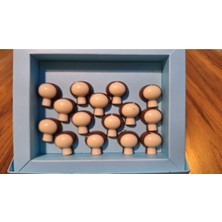 Mantar Spesiyal Hediyelik Çikolata (250 Gr)