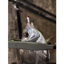 Major Craft Biobait I-Tail 2’’ 50MM 08 White Silver