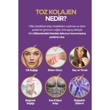Dermojin %100 30 Günlük Toz Alman Kolajeni
