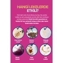 3 Adet - Platinum Çok Amaçlı Leke Çıkarıcı
