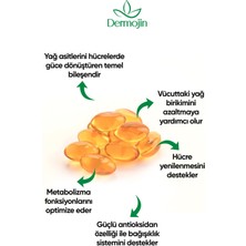 2 Adet Hünnap Bitkisel Karışım Yağlar Içeren Takviye Edici Soft Jel Kapsül