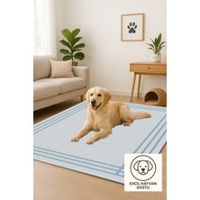 Lofy Halı Minimal Buz Mavi Salon Halısı Kaymaz Taban 160X230 cm