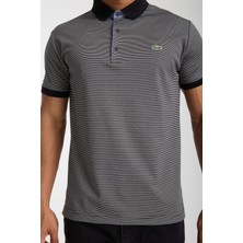 Lacoste  Polo Siyah Çizgili Regular Fit