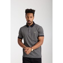 Lacoste  Polo Siyah Çizgili Regular Fit