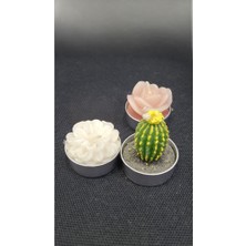 3'lü Tealight Minik Mum Metal Altlıklı Çiçek Kaktüs Aksesuar Ev Dekorasyon