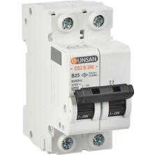 Günsan Valta Otomatik Sigorta 2p 6ka B Tip 2A Iki Kutuplu