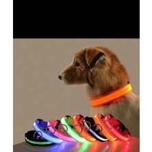 Luna Paws Store Reflektörlü Köpek S Tasması