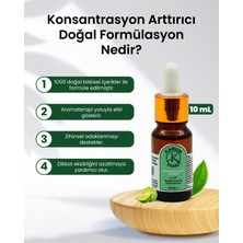 Karum Academy Aromaterapi-Sinerji Doğal Cam Damlalıklı Konsantrasyon Artırıcı Buhurdanlık ve Difüzör 10ml