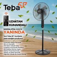 Teba 18 Inch Uzaktan Kumandalı / Zaman Ayarlı Ayaklı Vantilatör