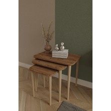 Dikdörtgen Zigon Sehpa 3'lü Set – Ahşap Ayaklı Modern Tasarım - Yan Sehpa - Kahve Masası