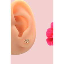 Sacce Scarves & Accessories Zirkon Taşlı Yengeç Helix Küpesi Lob Tek Adet Yengeç Burcu Küpesi