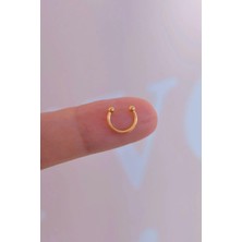 Sacce Scarves & Accessories 8 mm Gold Mini Nokta Toplu Çelik Piercing Tragus Helix Kıkırdak Lob Daith Forward Helix