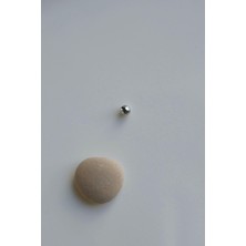 Sacce Scarves & Accessories Gümüş Renk Çelik Piercing Topu Tek Adet