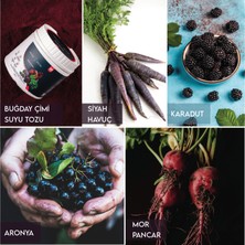 Ancient Greens Red Power Büyük Boy 180G 30 Porsiyon Bitkisel Mor Süper Gıda Karışımı Glutensiz, Vegan, Katkı ve Koruyucu Madde İçermez